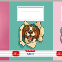 Sešit 524 motivový, mix holky