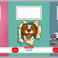 Sešit 513 motivový, mix