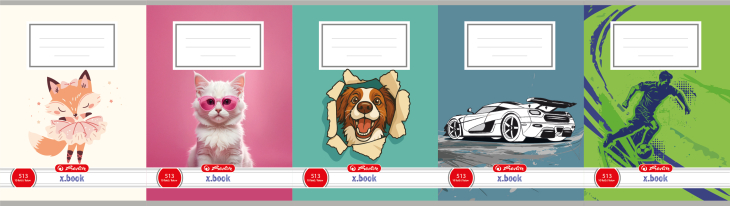 Herlitz - Sešit 513 motivový, mix